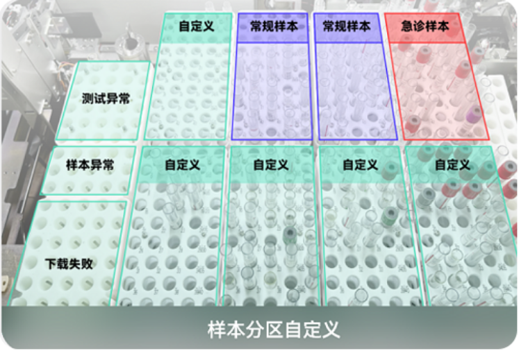样本图片