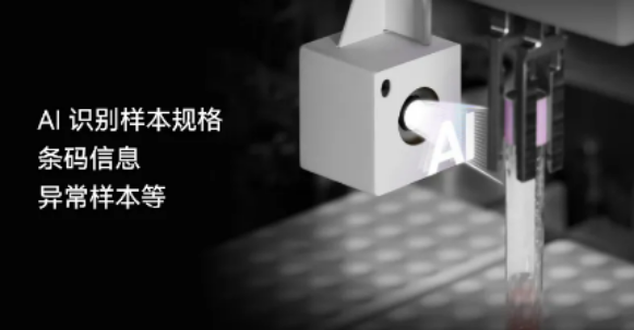 样本图片